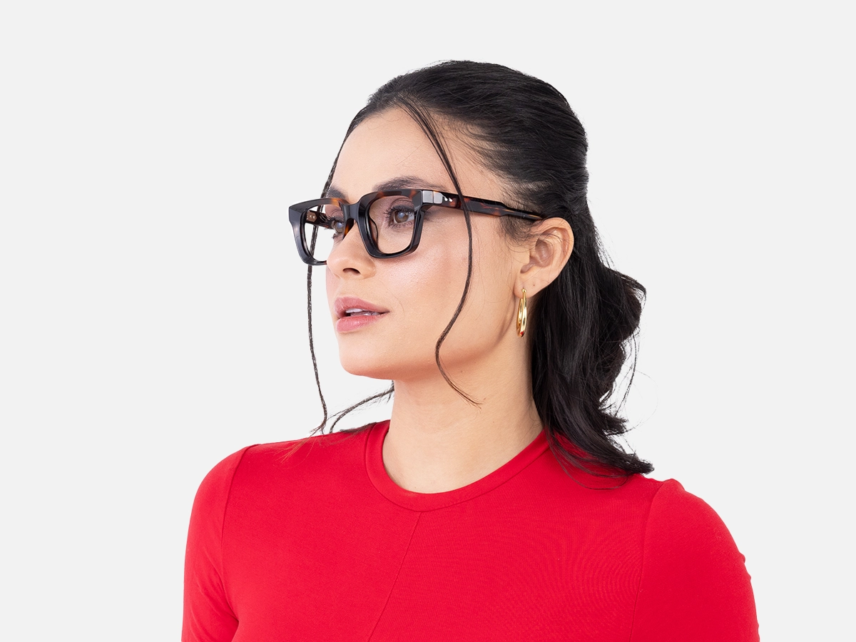 Dark Tortoiseshell Glasses-53