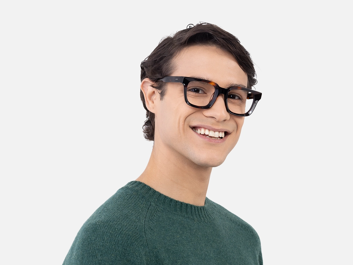 Dark Tortoiseshell Glasses-42