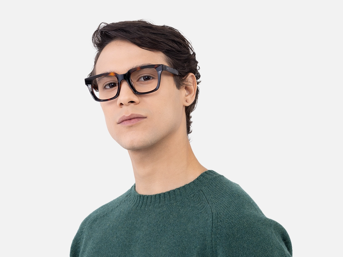 Dark Tortoiseshell Glasses-43