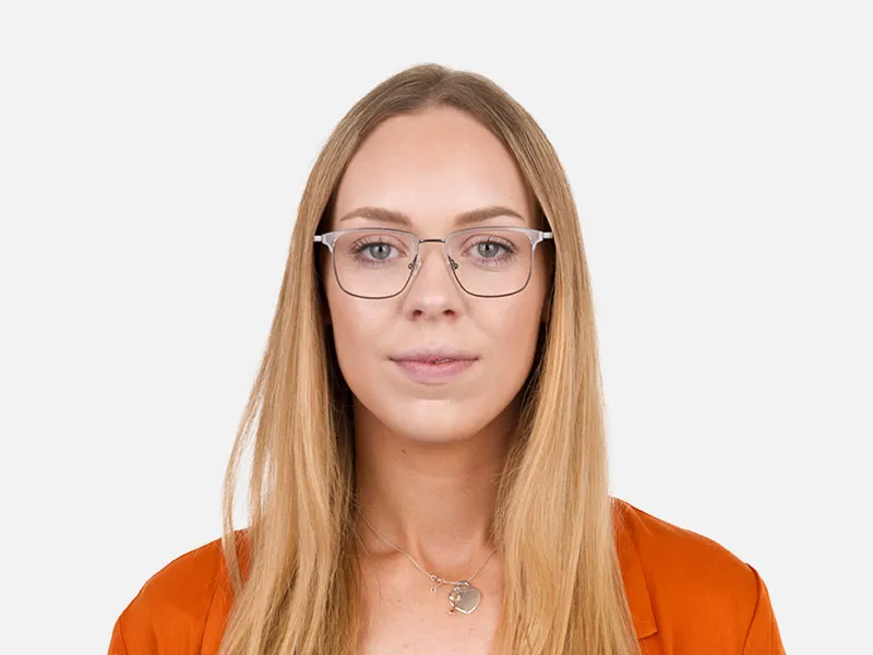 Transparent and Gunmetal Frames in Metal - 2