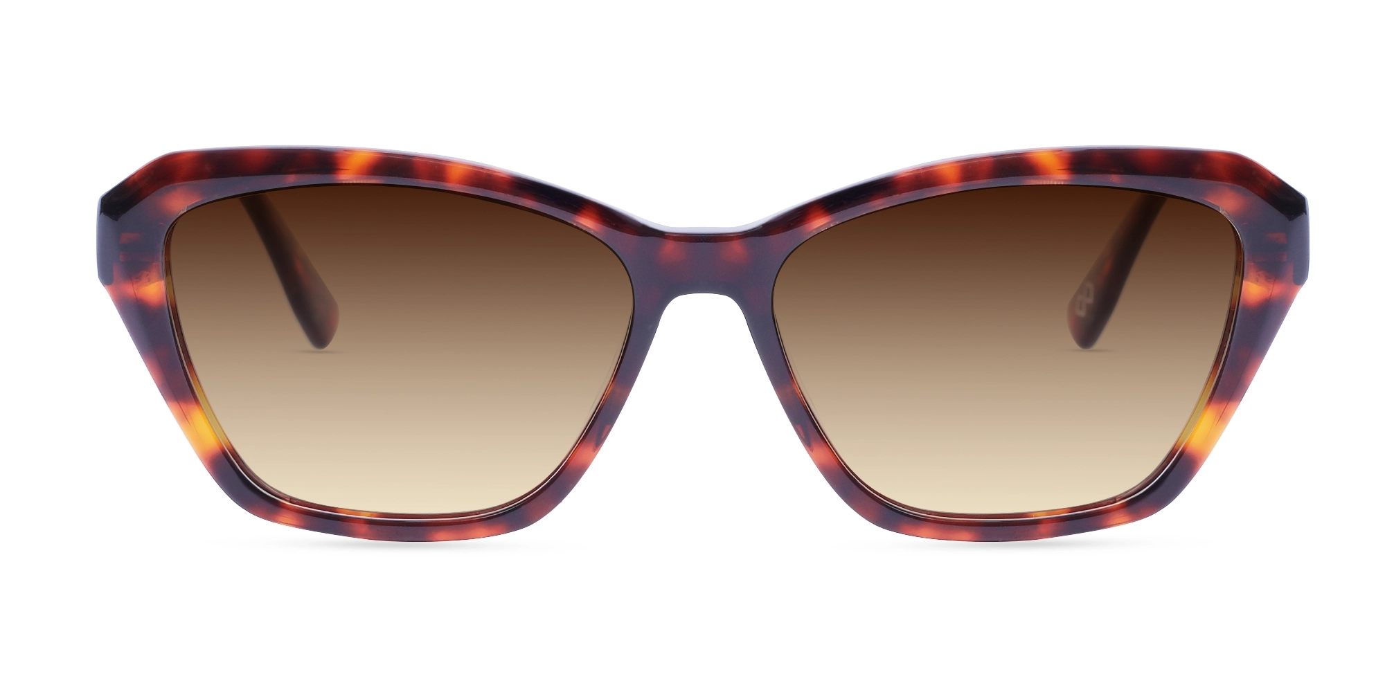 Red Tortoise Square Full-Rim Sunglasses