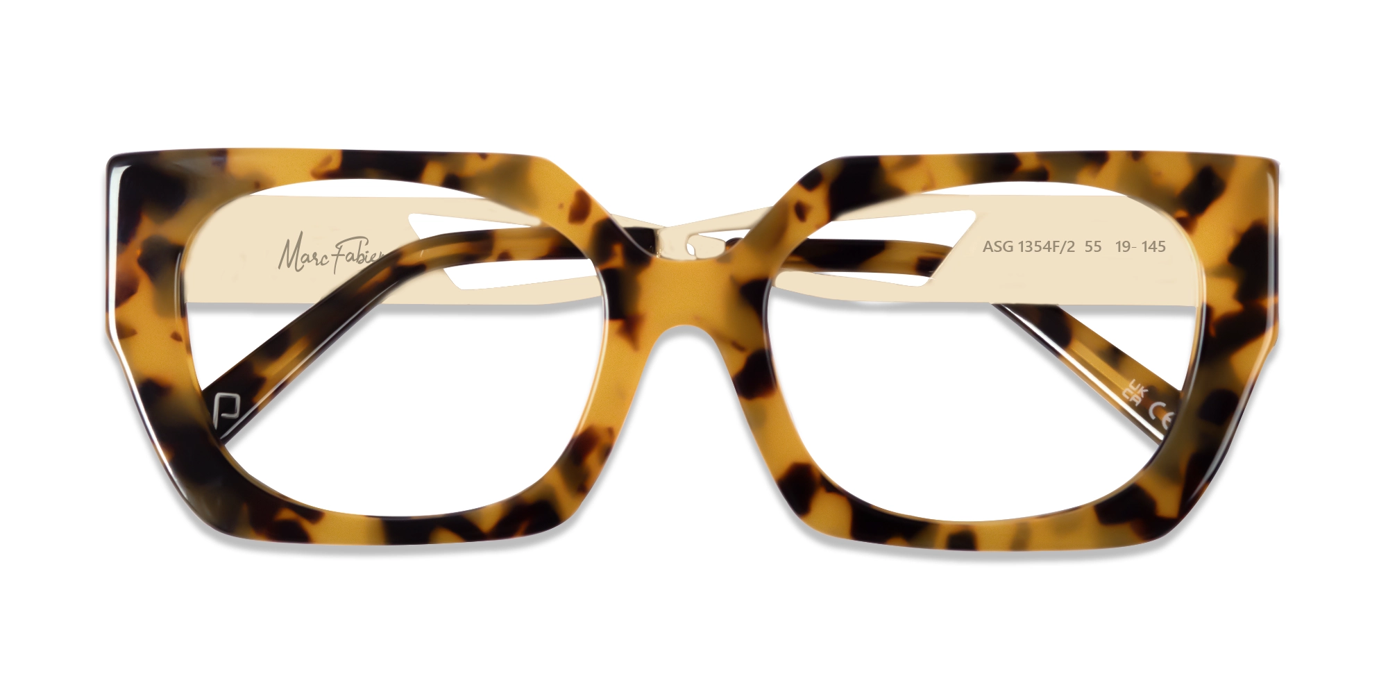 Metallic Gold & Tortoise Square Glasses