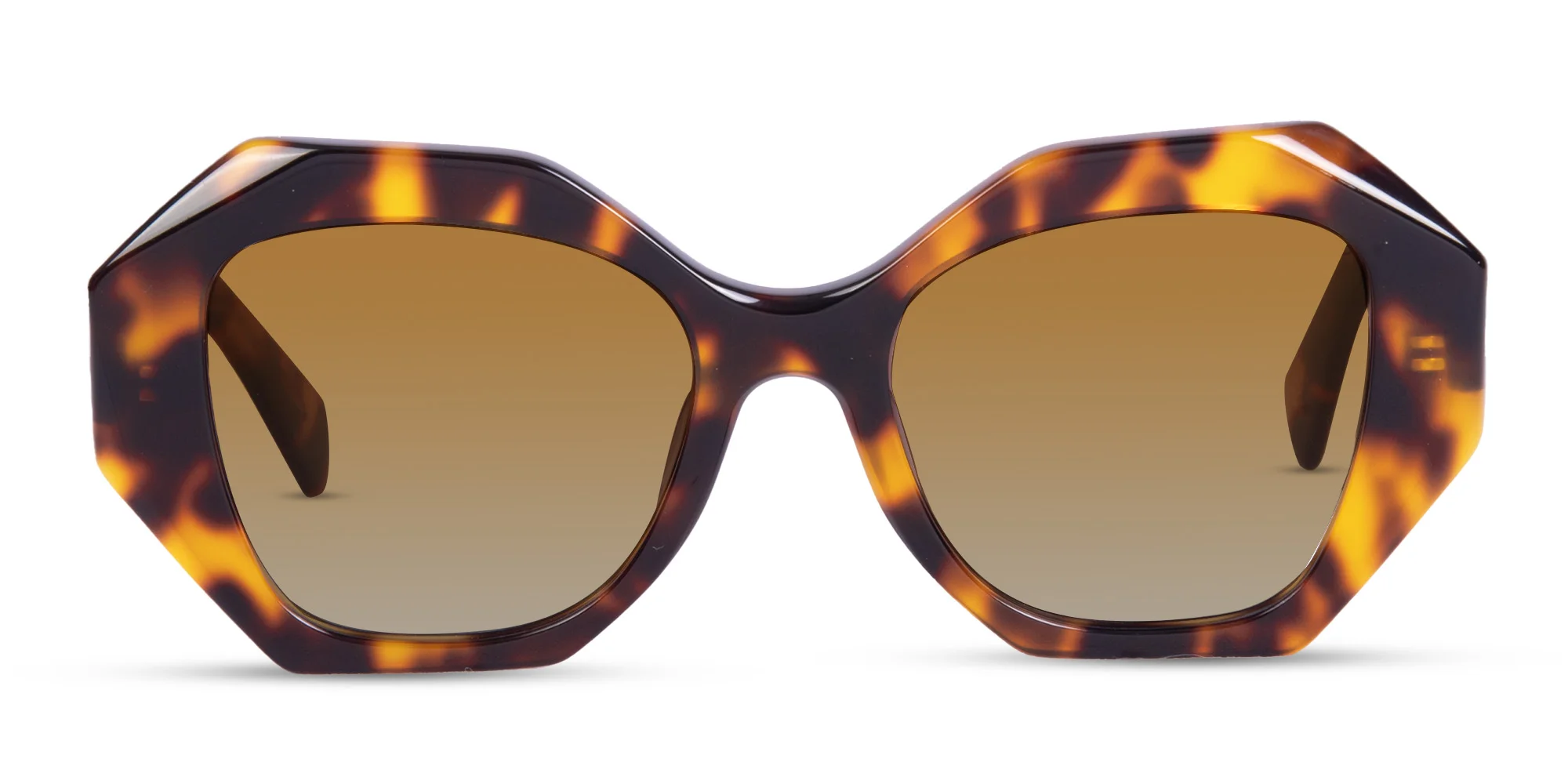 Oversized Tortoise Shell Sunglasses-1