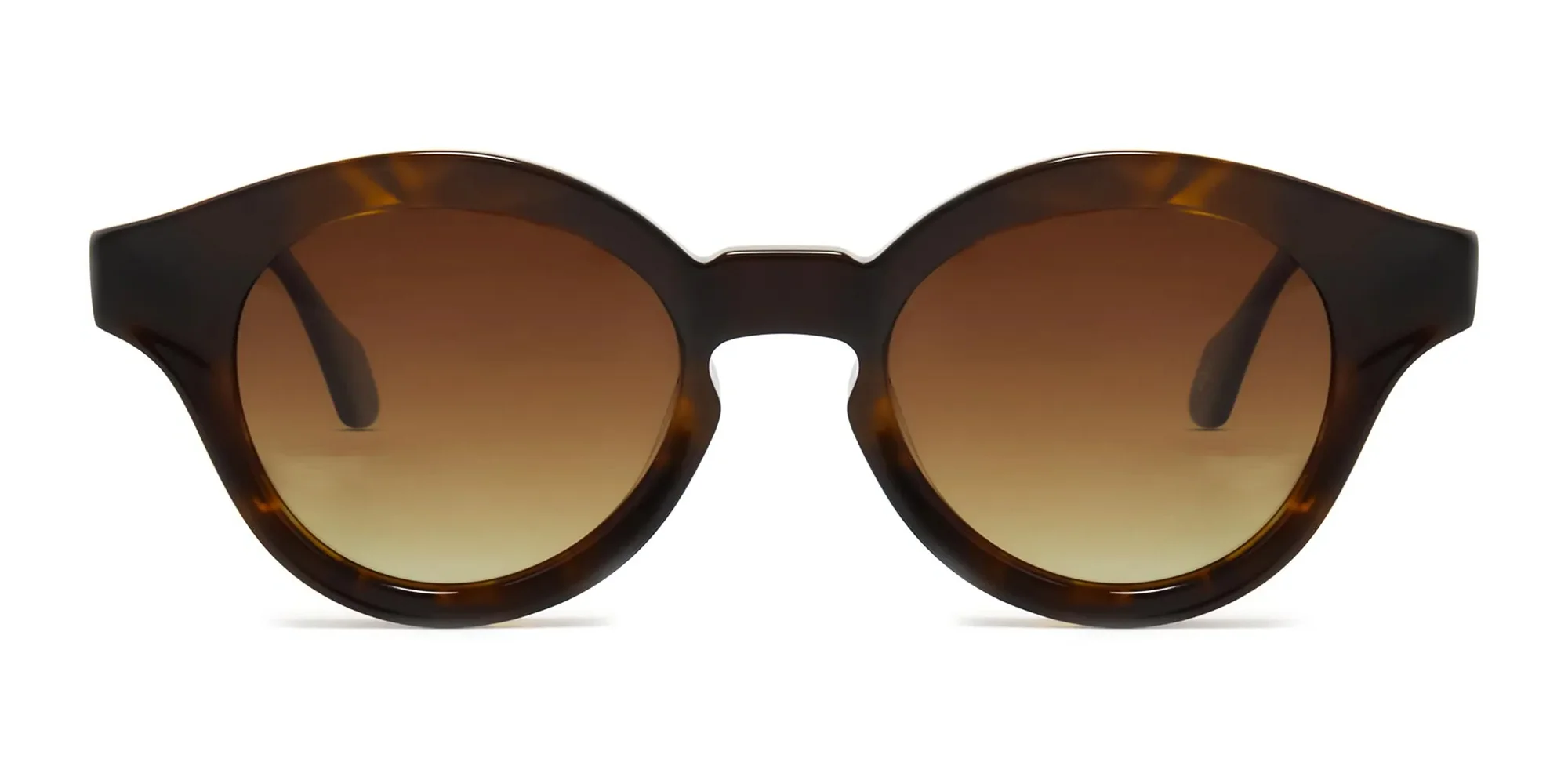 mens round tortoise shell glasses-2