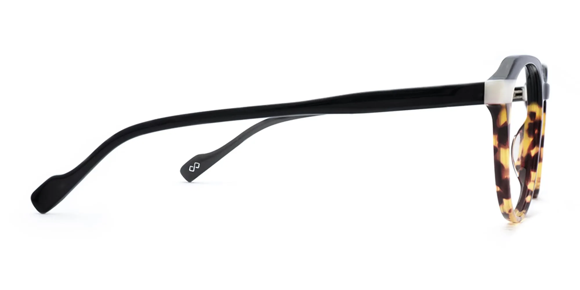 Black & Tortoise Glasses-2