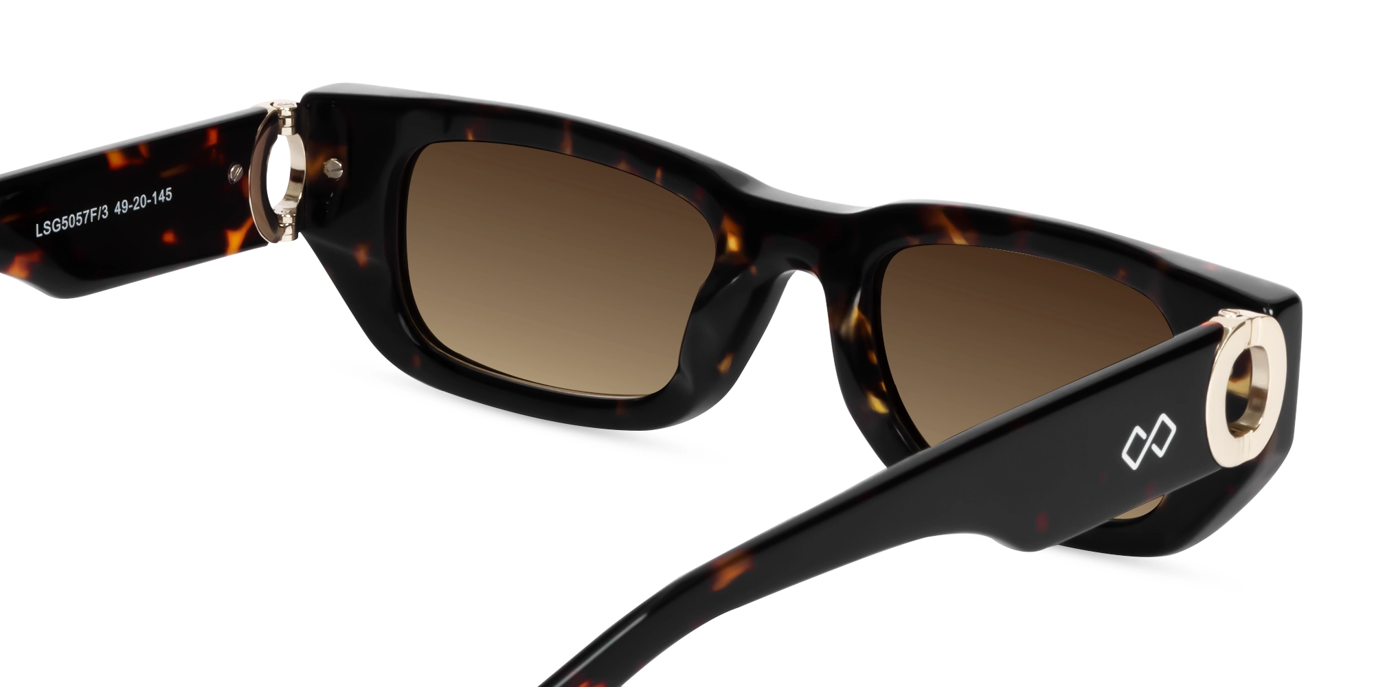Tortoise Frame With Brown Gradient Tint-5