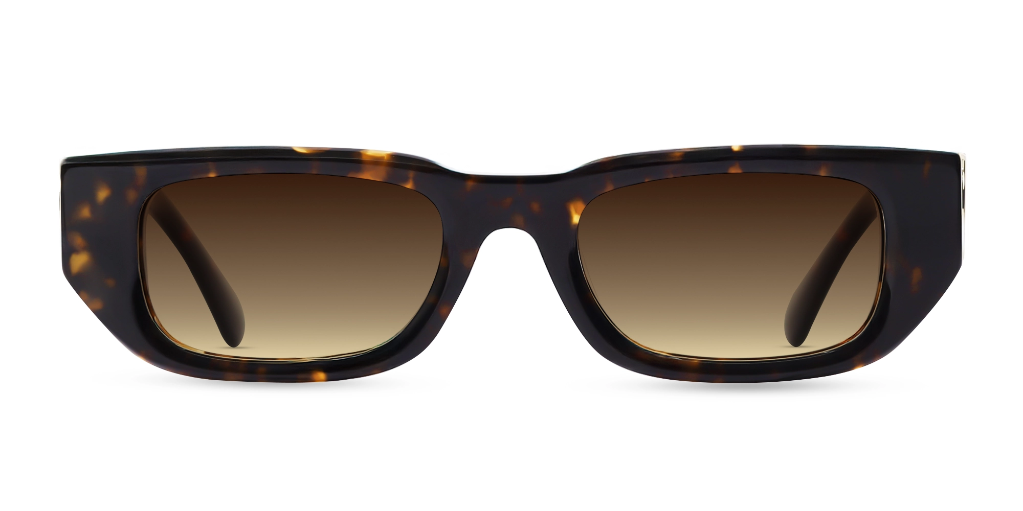 Tortoise Frame With Brown Gradient Tint-1