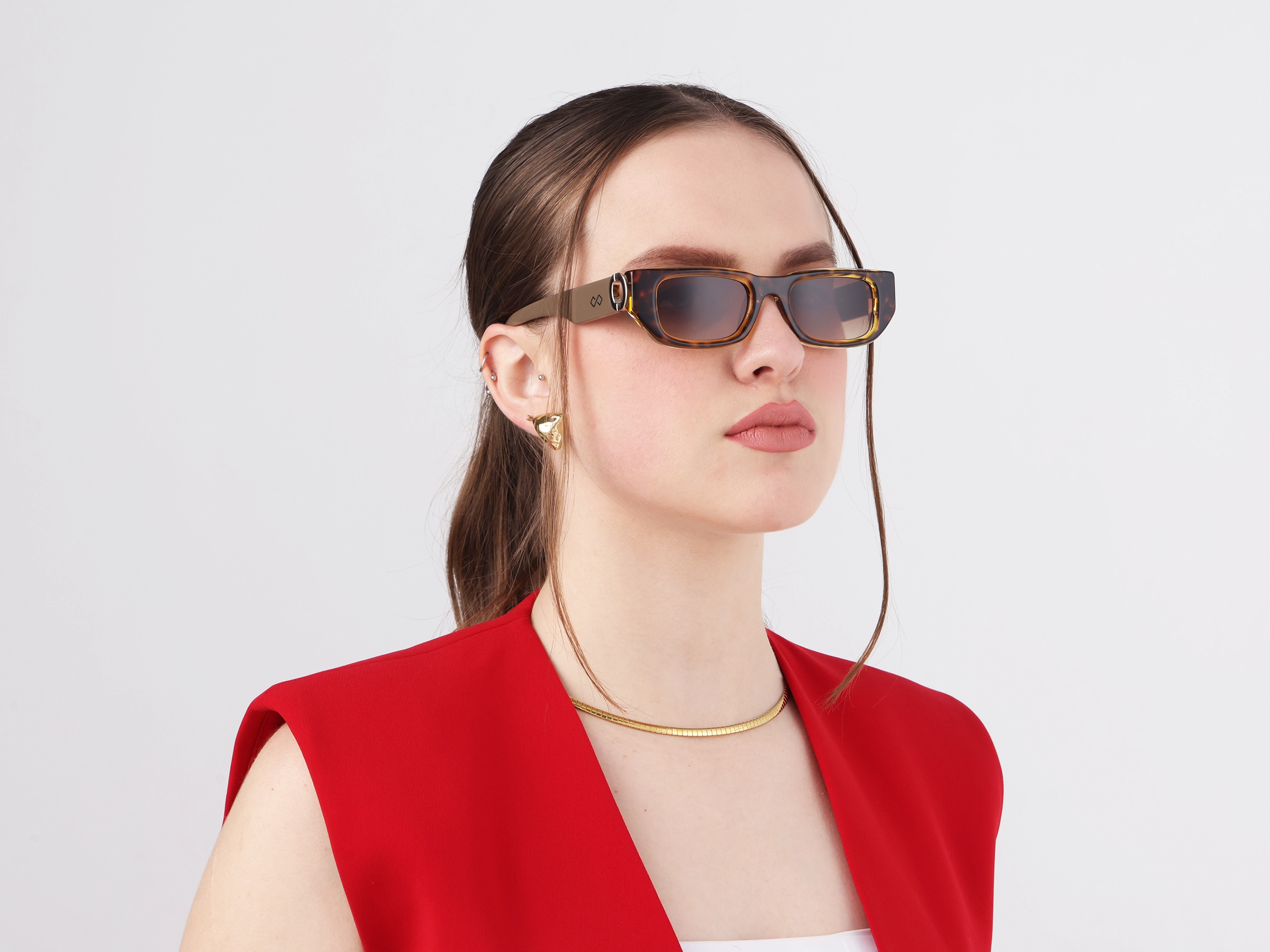 Rectangle Full-Rim Acetate Sunglasses-53