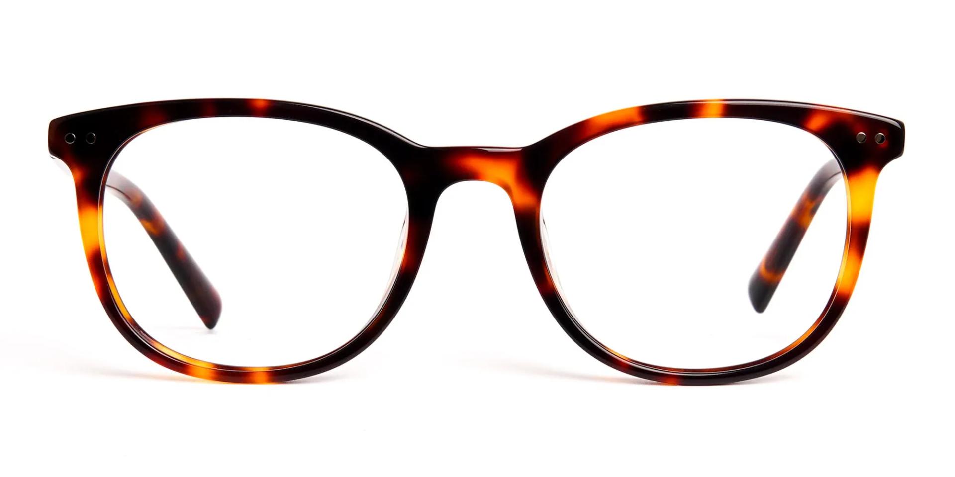 TL1014F/5 - Black and Red Tortoise Shell Round Square Glasses