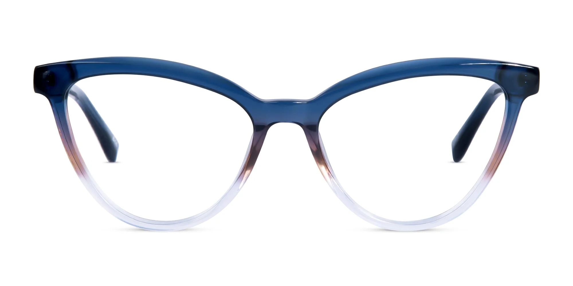 Blue Cat Eye Glasses Frames-1