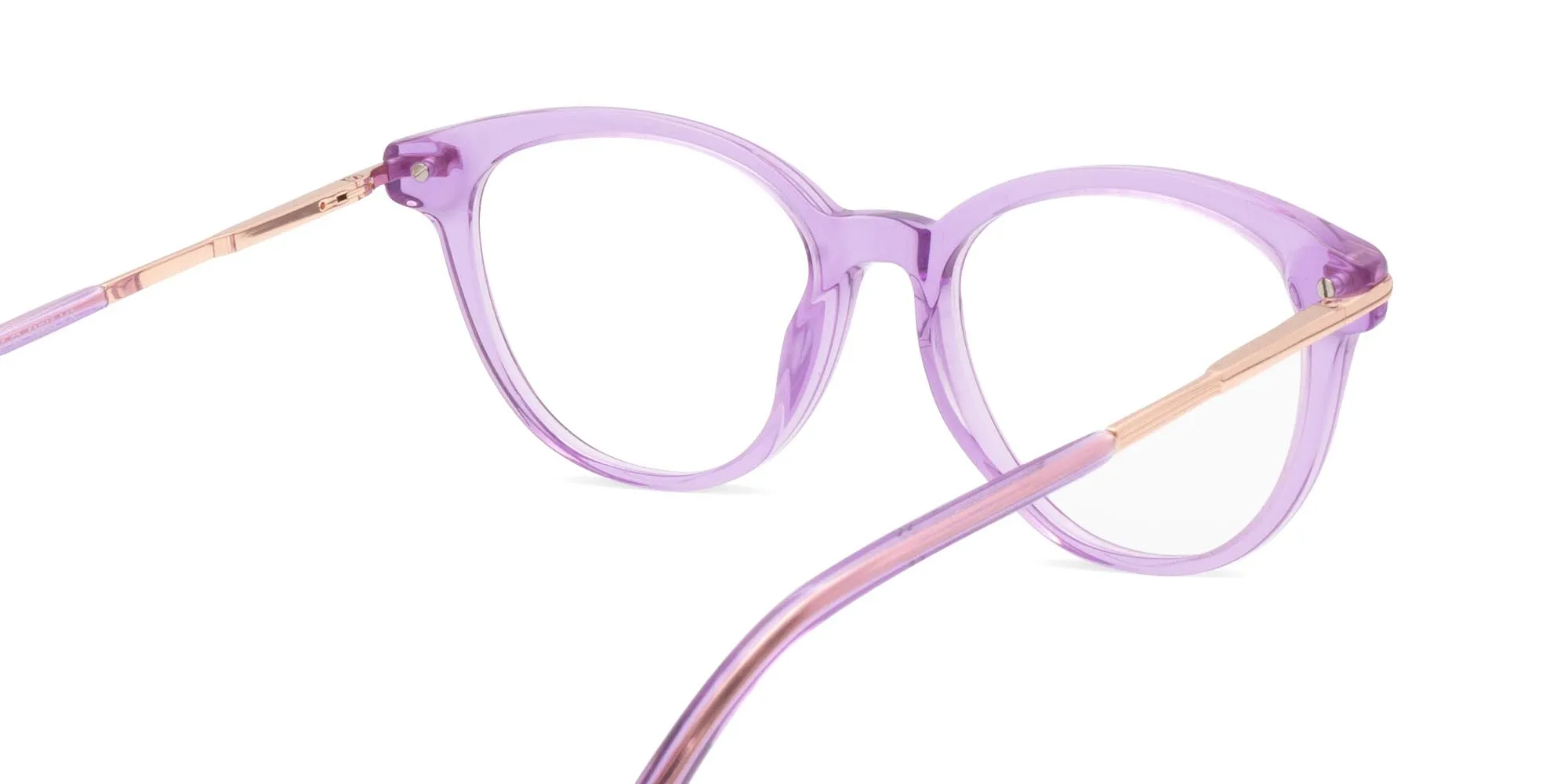 Purple Glasses Frames-2