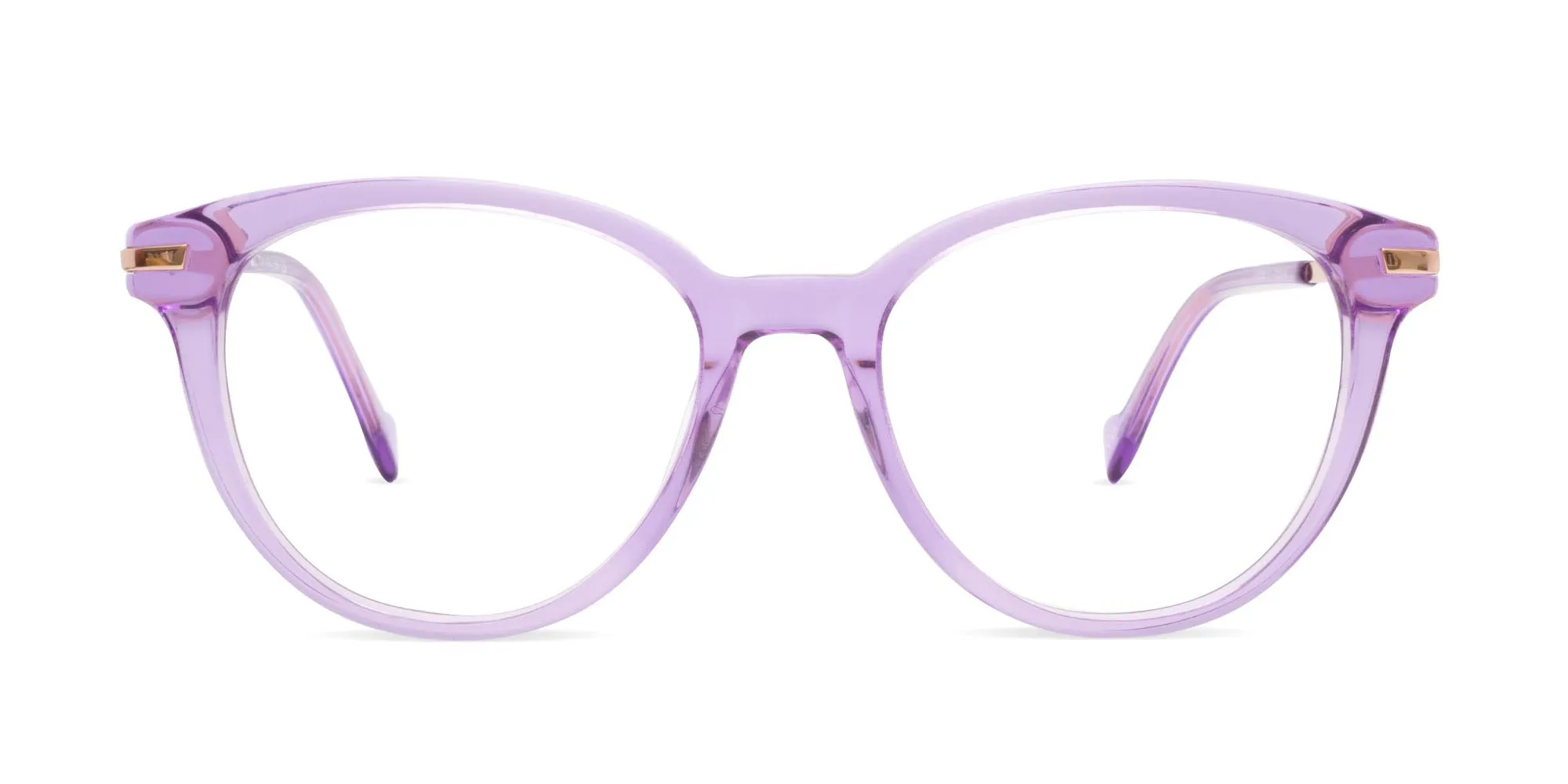 Purple Glasses Frames-2