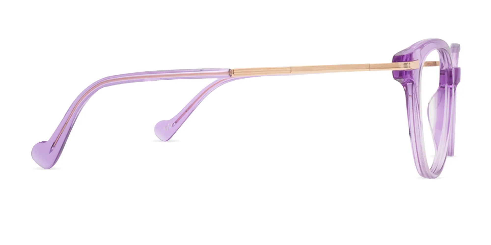 Purple Glasses Frames-2
