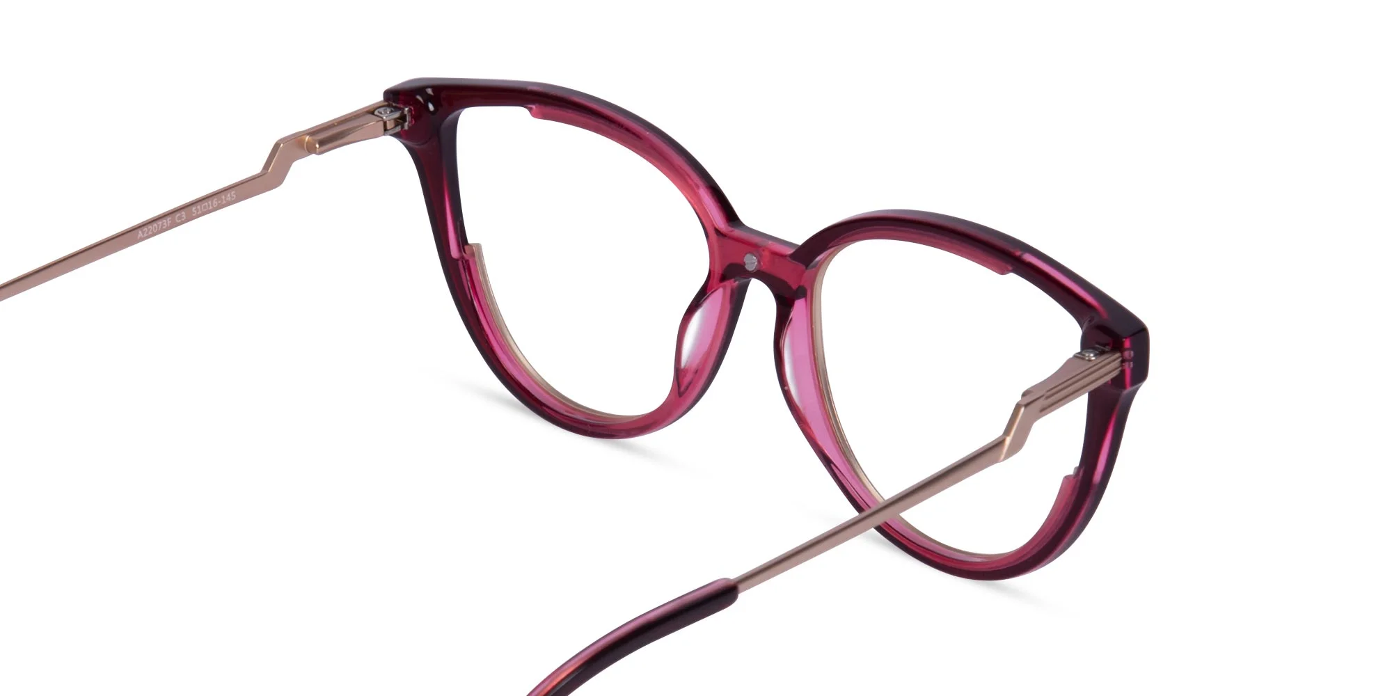 Modern Glasses For Women-5