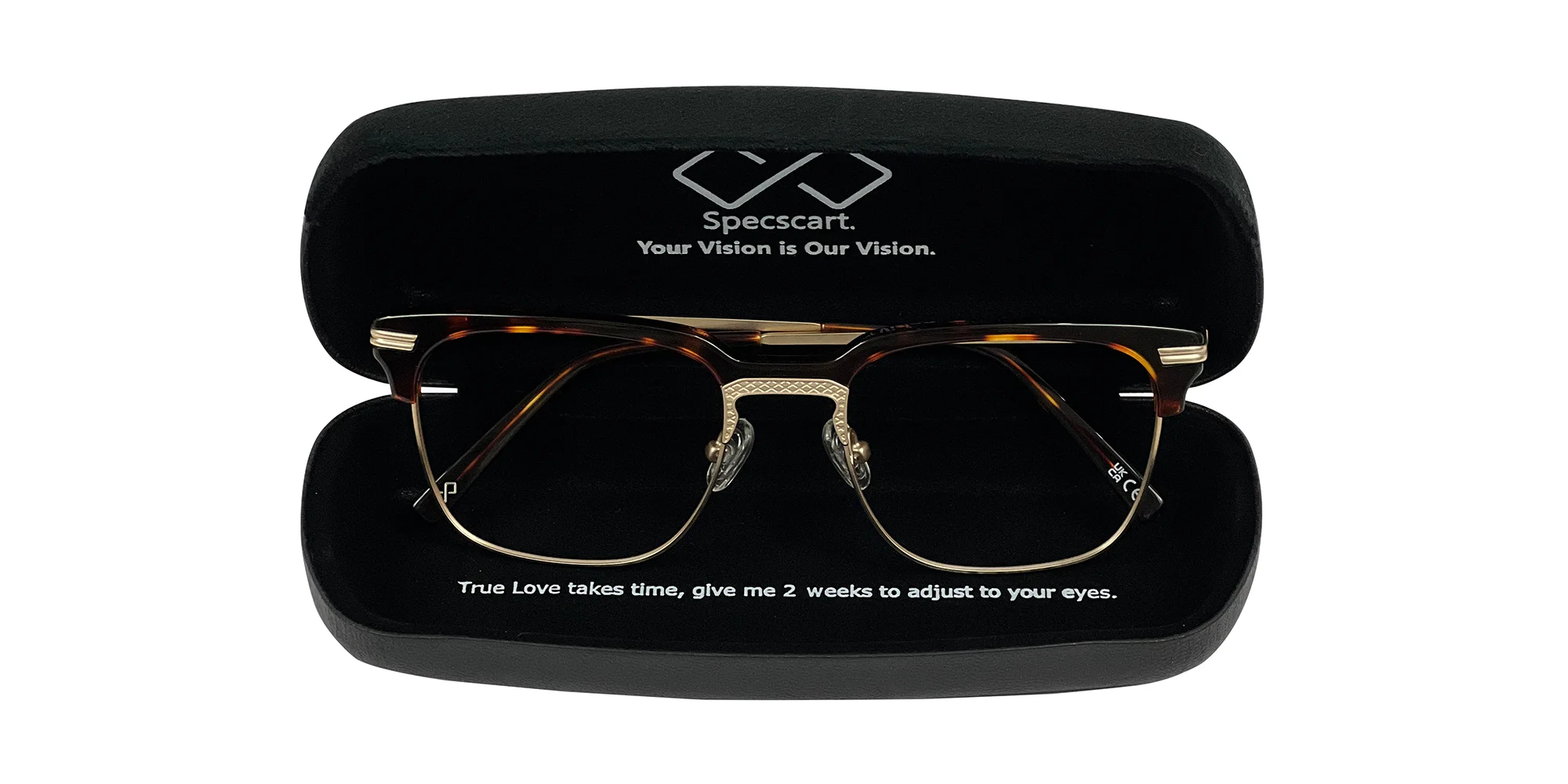 Black Hard Eyeglasses Case-2