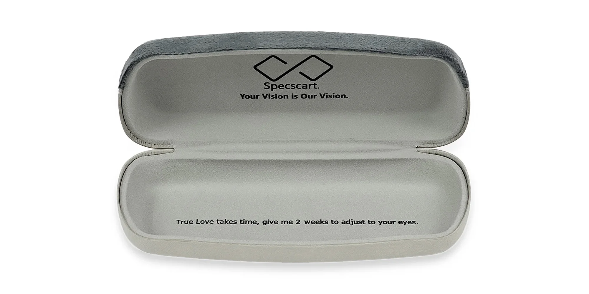 Grey Hard Case Eyeglass Case-4