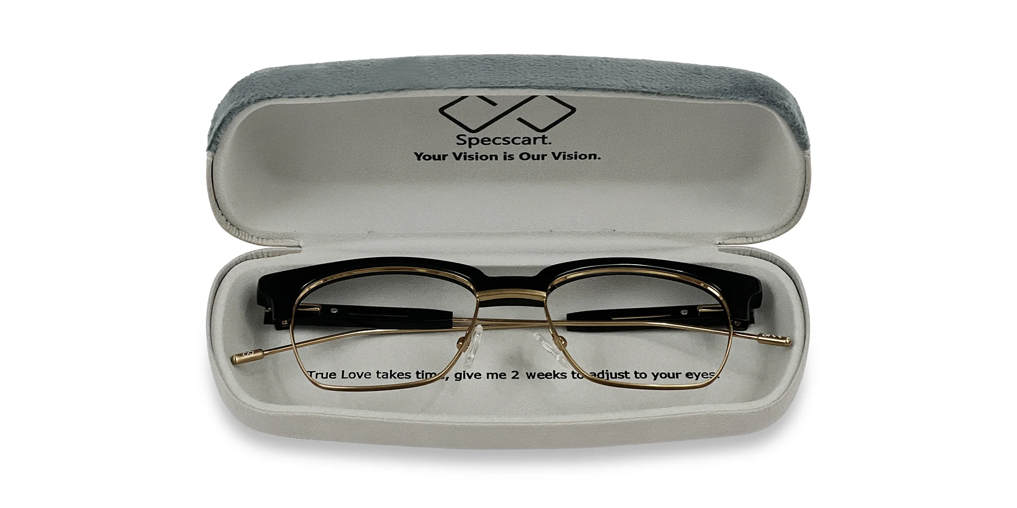 Grey Hard Case Eyeglass Case-2