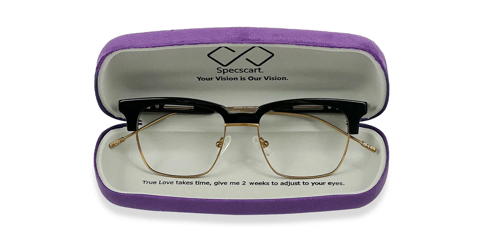Purple Hard Case Eyeglass Case-2