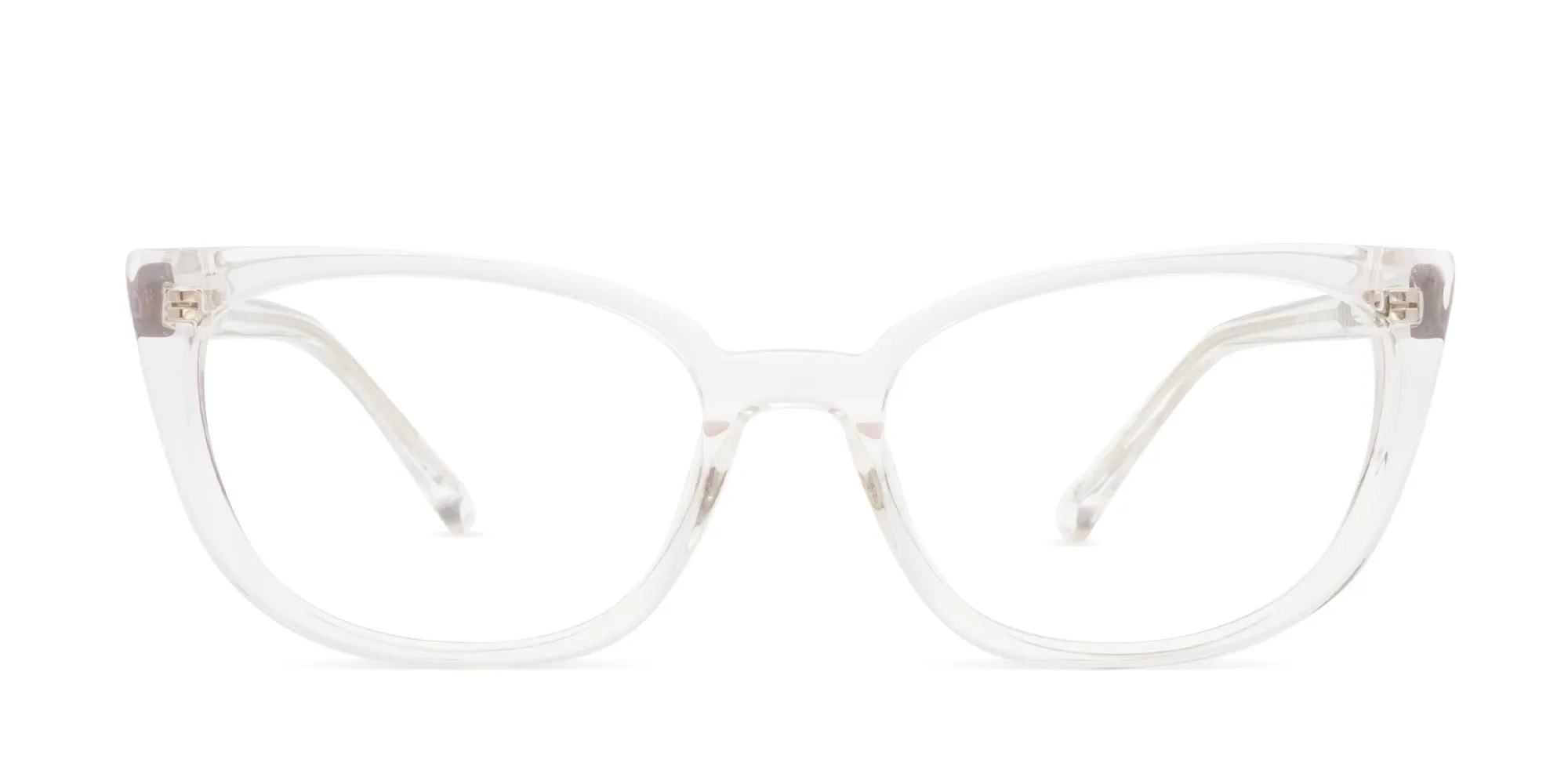 Cat Shaped Glasses-2