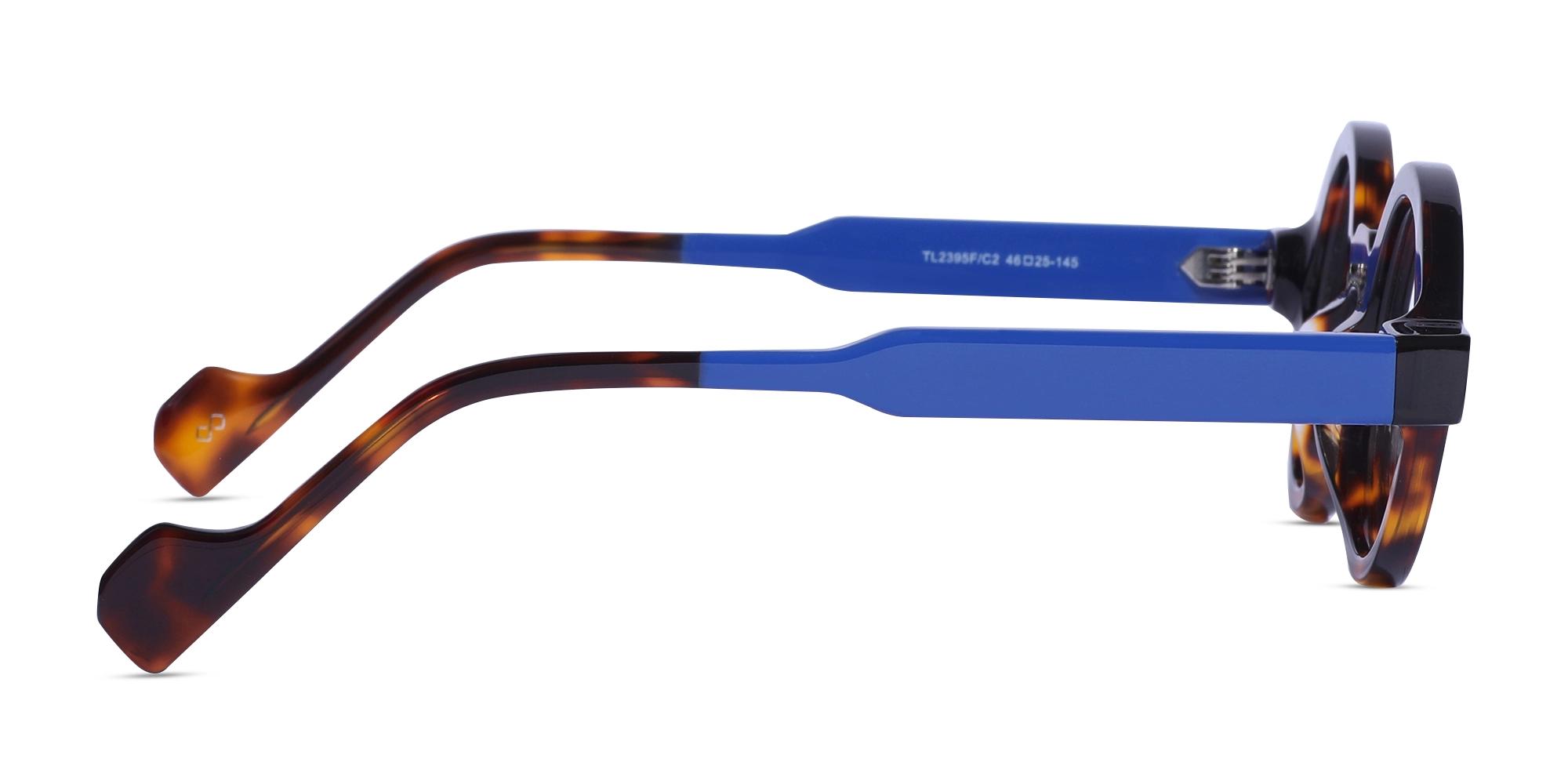 Blue Tortoiseshell Glasses-4