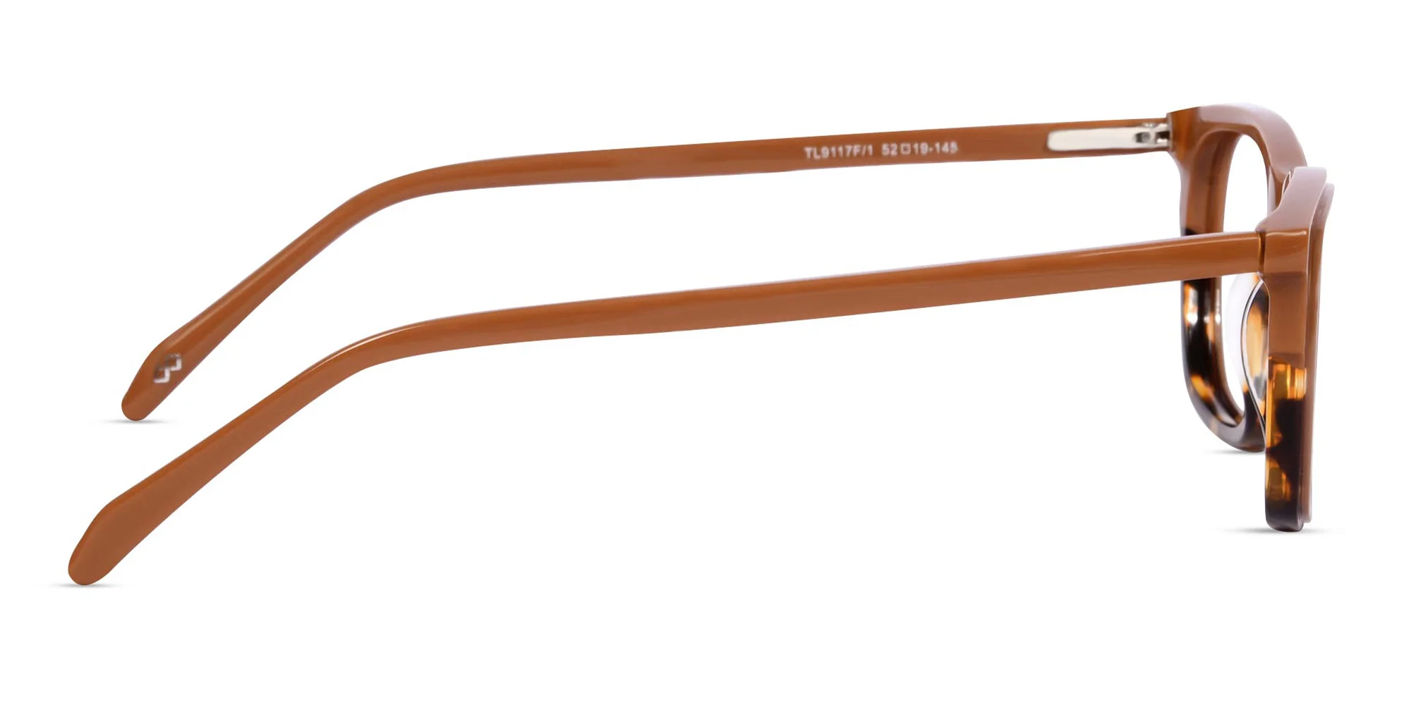 Brown Tortoise Glasses-4
