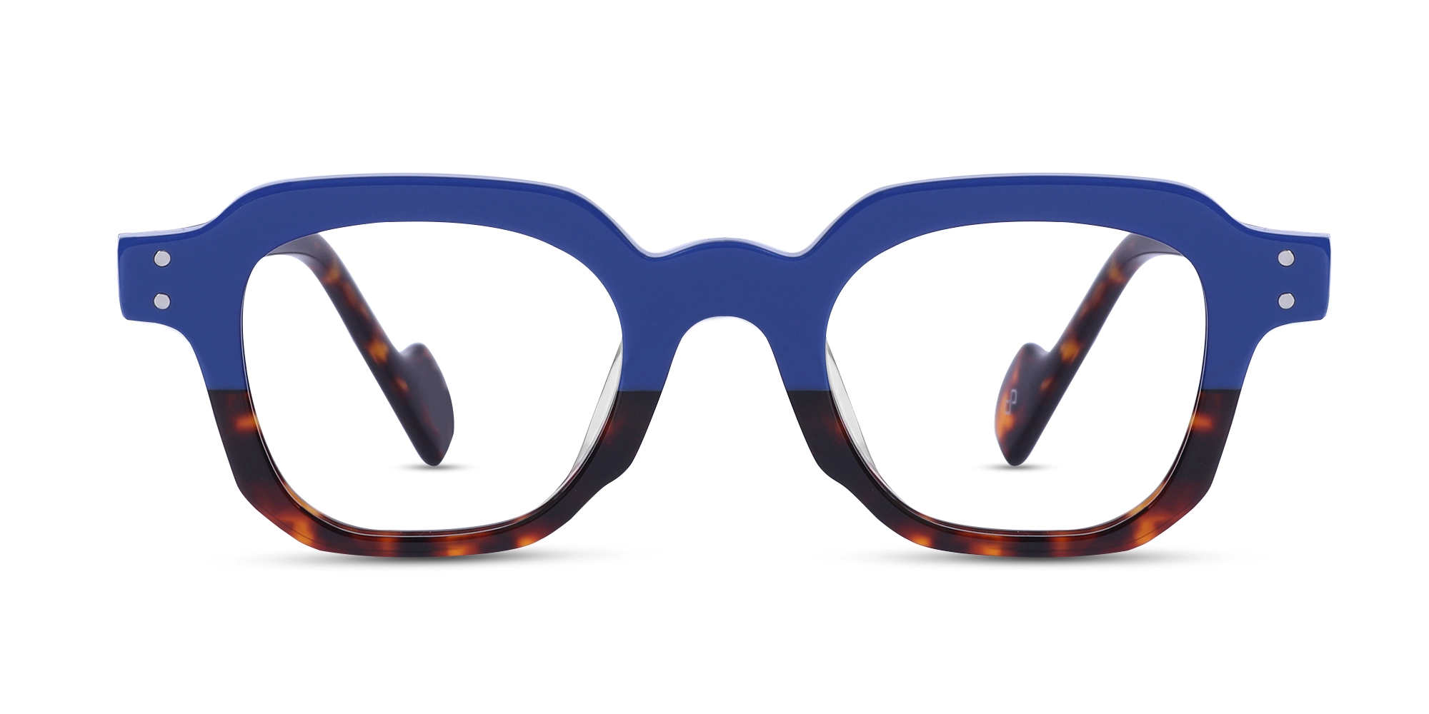 Blue And Tortoise Shell Glasses-1