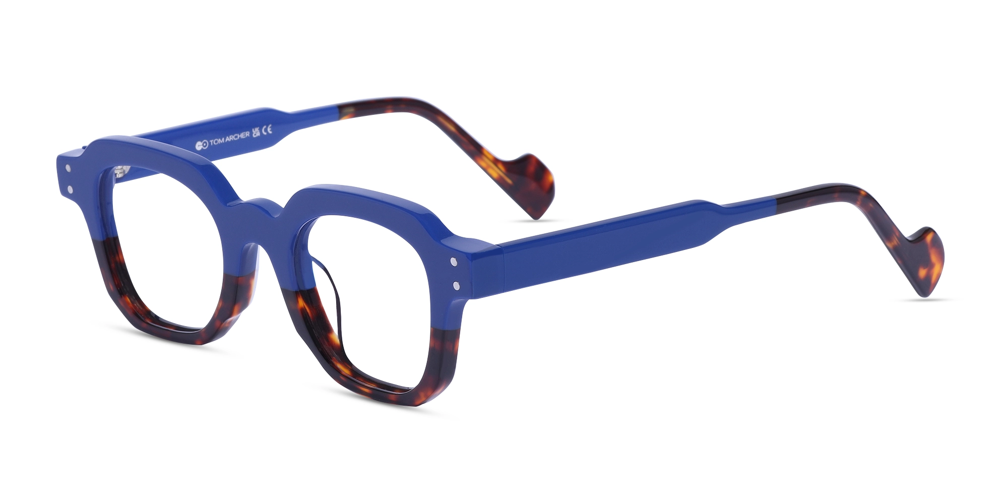 Blue And Tortoise Shell Glasses-3