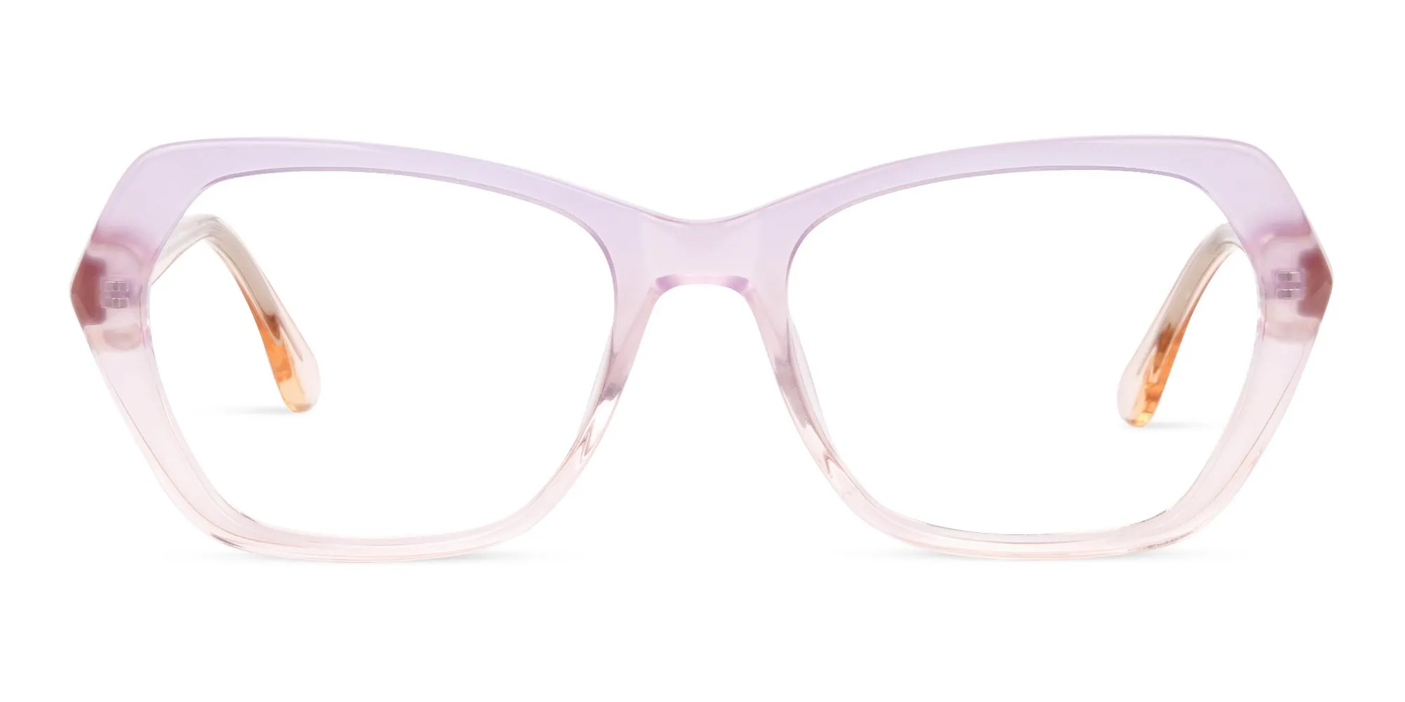 Crystal Purple and Nude Cat Eye Glasses-2
