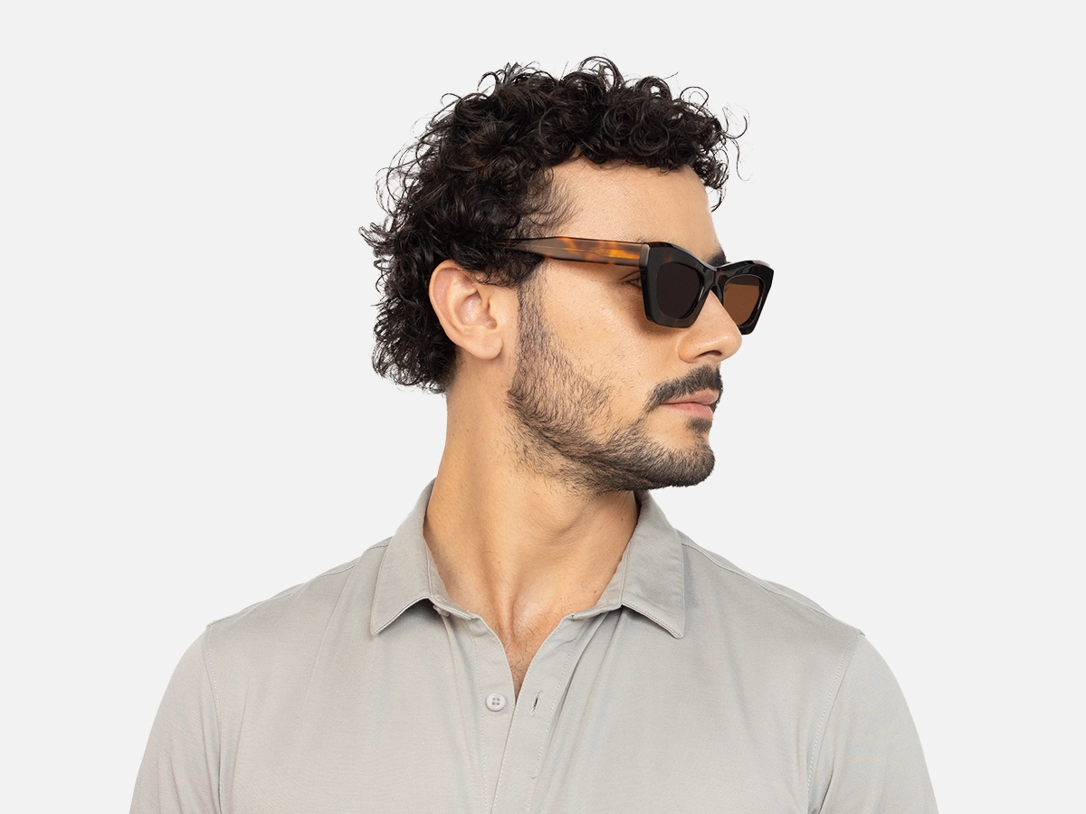 Polarized Cat Eye Sunglasses-43