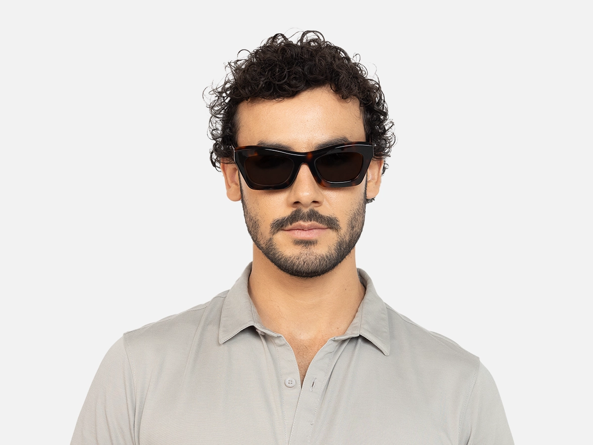 Polarized Cat Eye Sunglasses-41