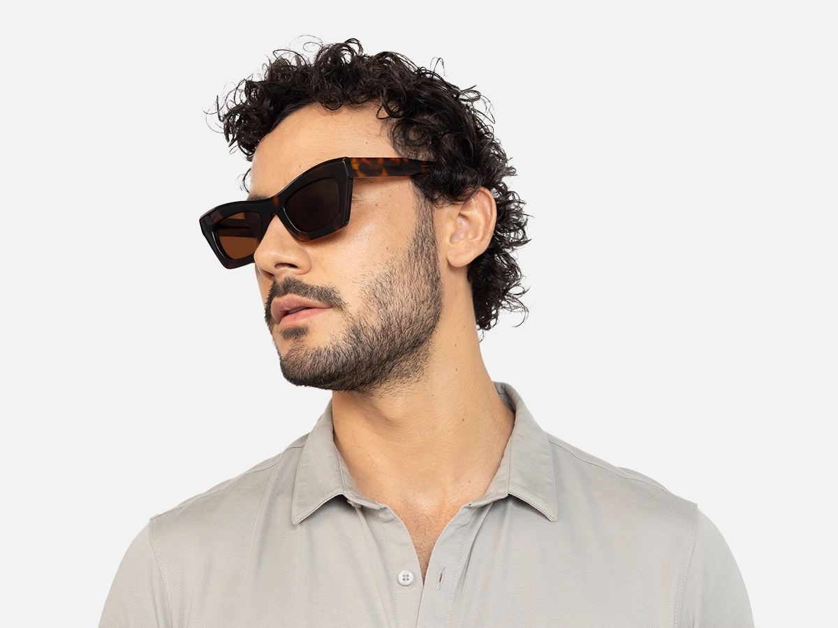 Polarized Cat Eye Sunglasses-42