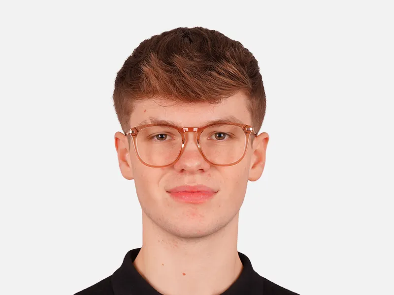 Crystal Brown & Gold Eyeglasses For Men & Women-2