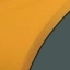 Golden Ochre swatch
