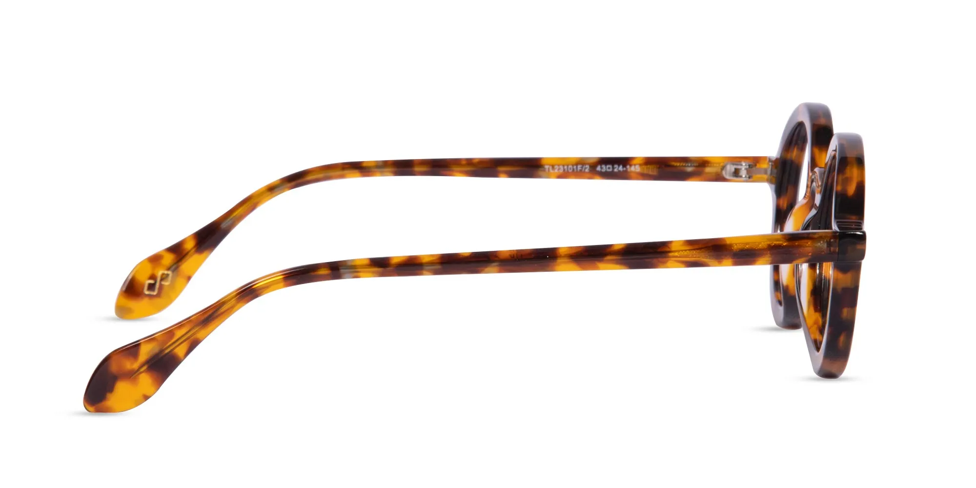 Small Round Tortoise Shell Frames-2