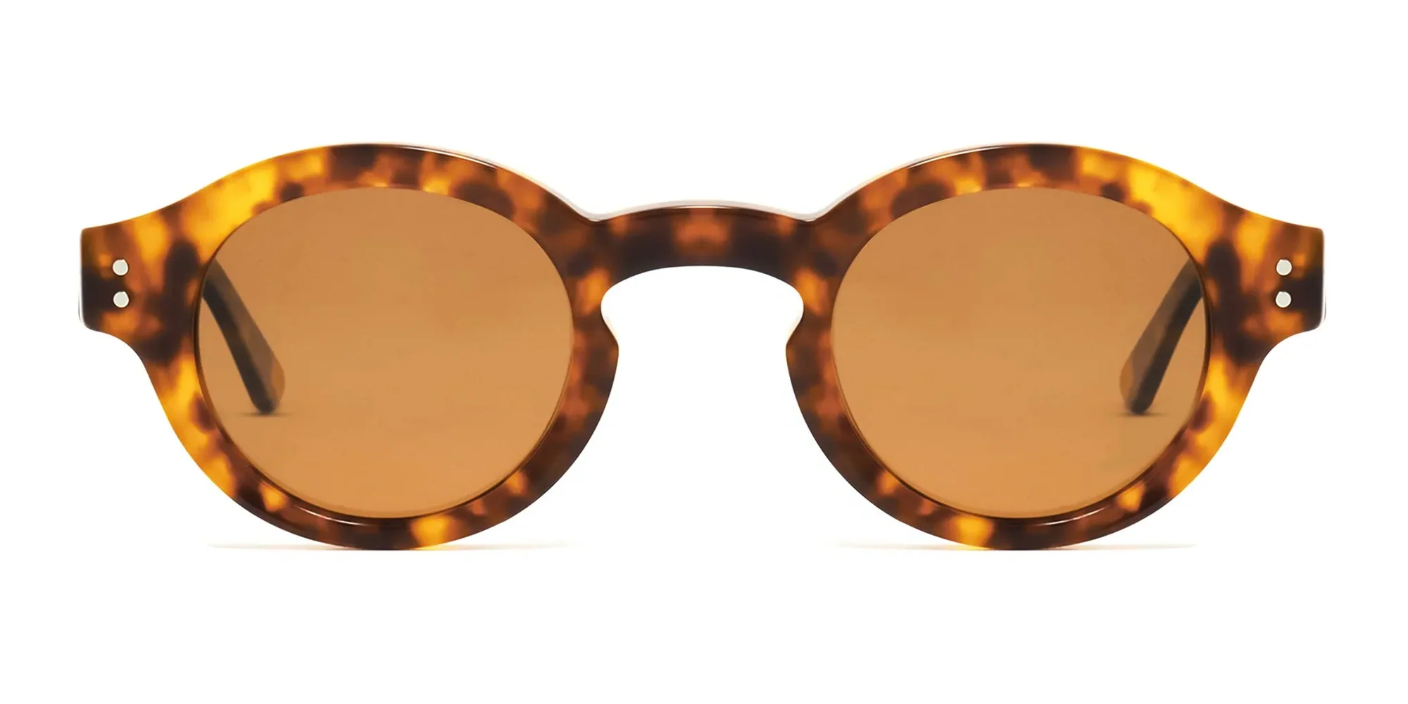 round tortoise sunglasses-2 round tortoise sunglasses-2