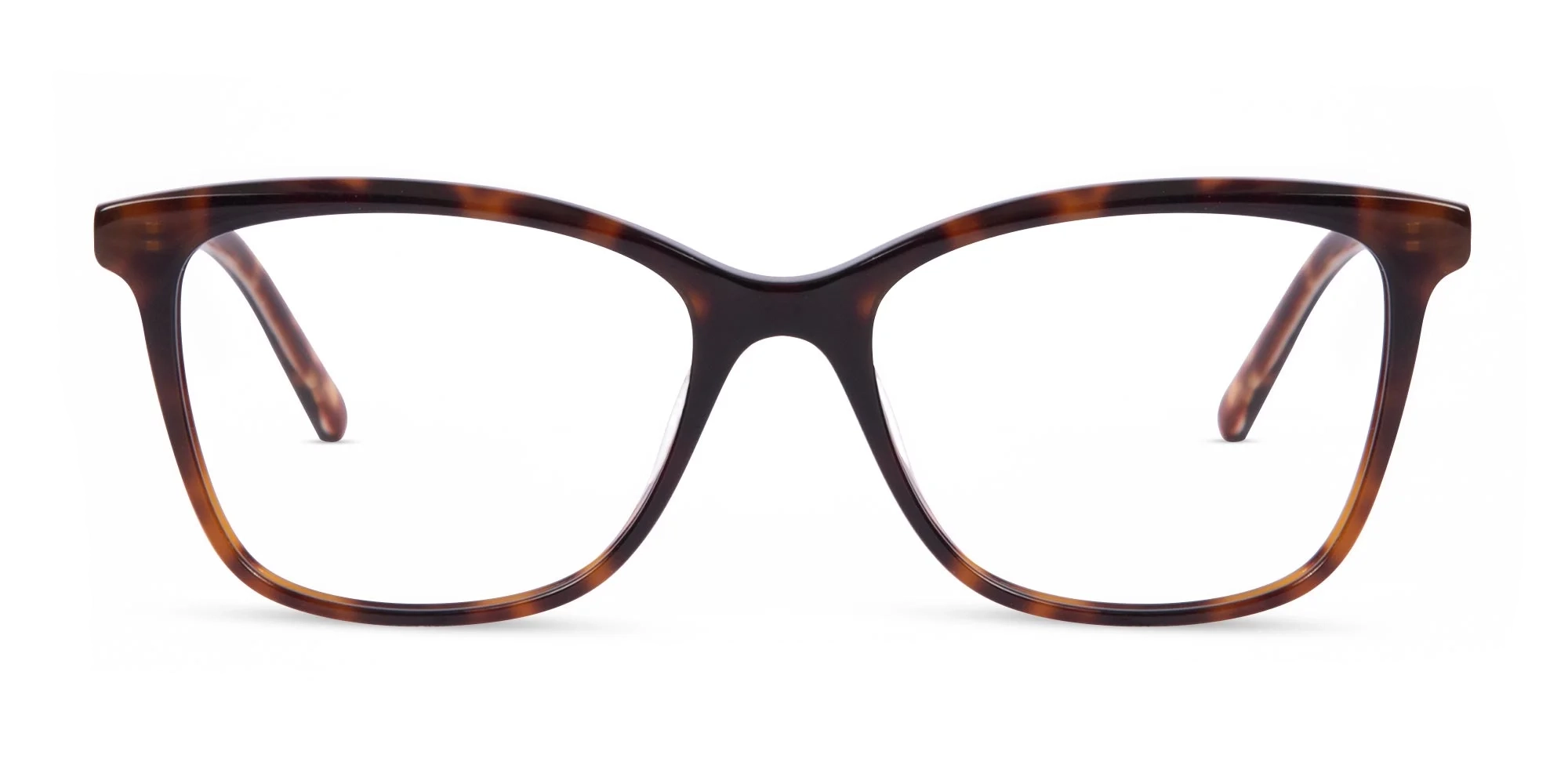 Tortoise Cat Eye Eyeglasses-1