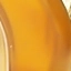 Honey Tortoise & Gold swatch