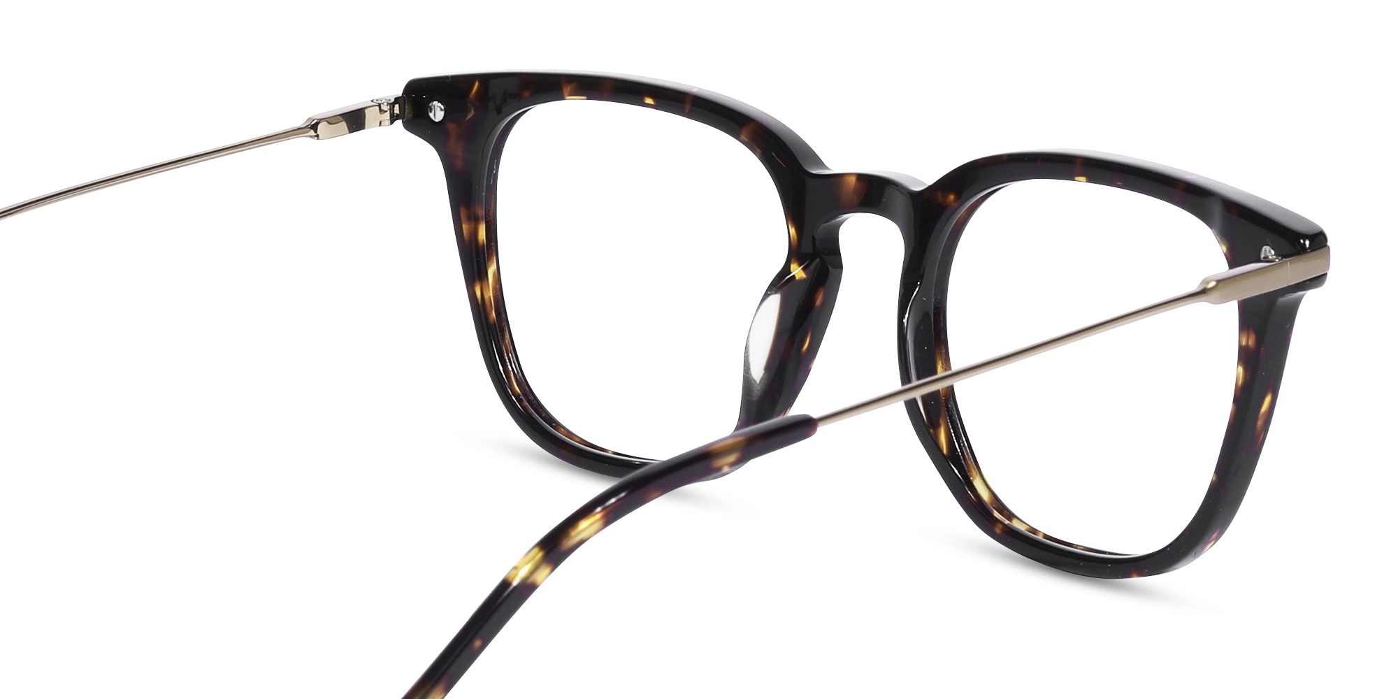 Havana Tortoise With Gold Temple 5