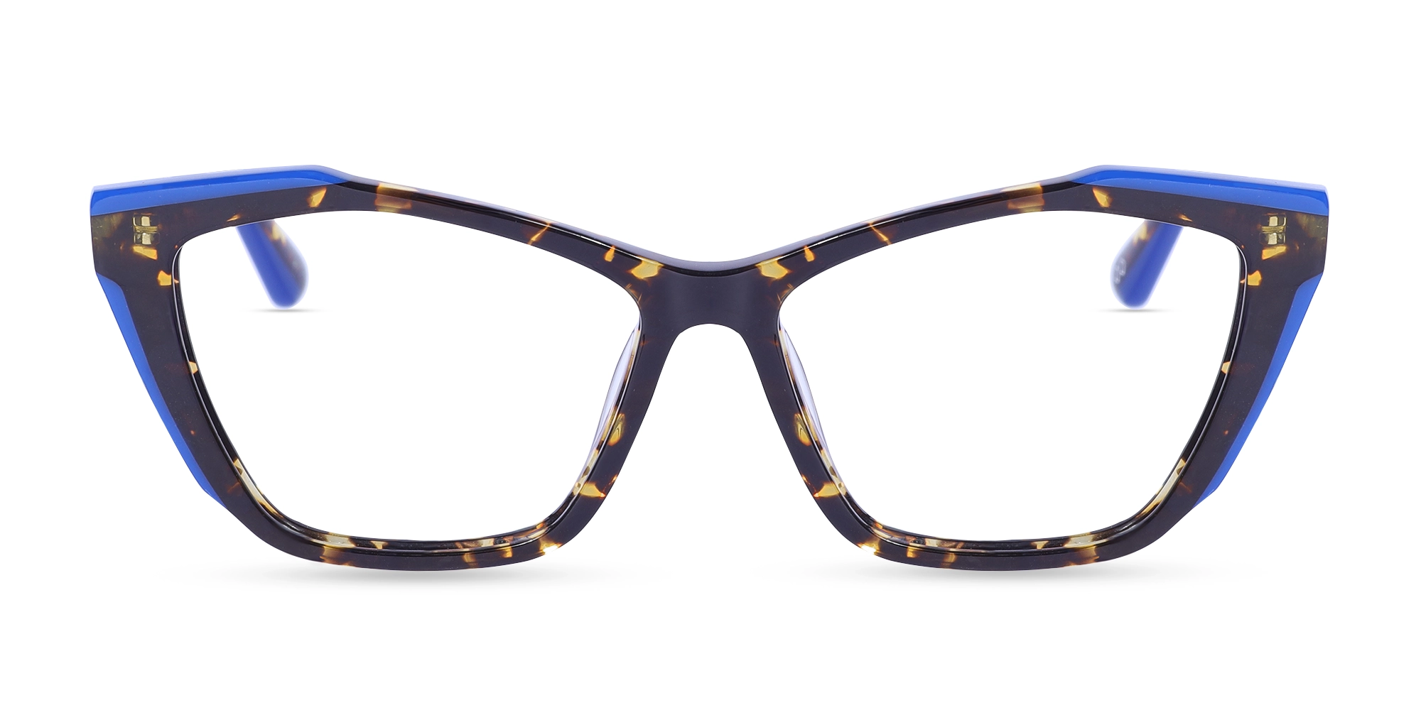 Havana Tortoise Cat Eye Glasses 1 Havana Tortoise Cat Eye Glasses 1