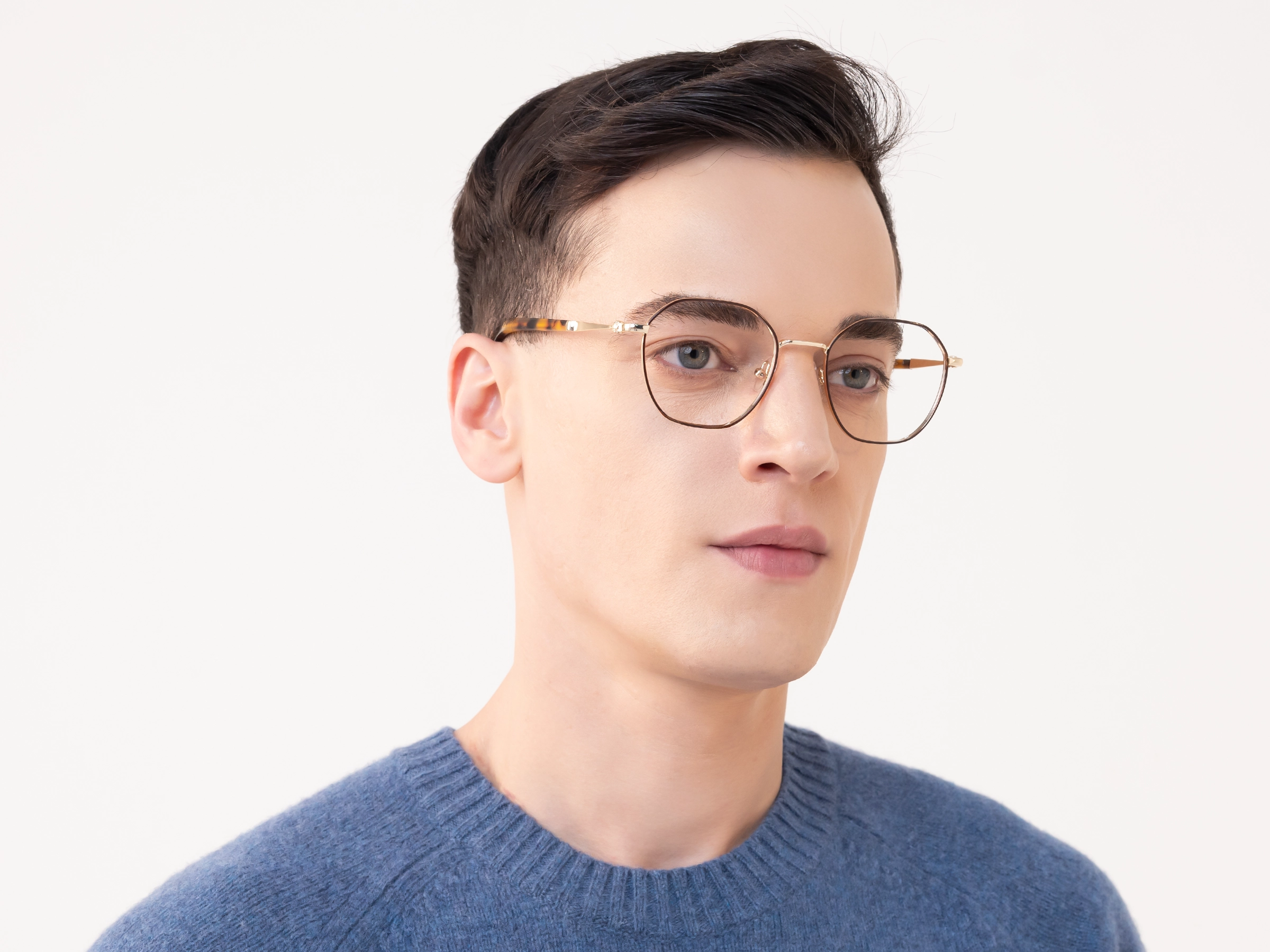 Brown & Gold Titanium Eyeglasses-