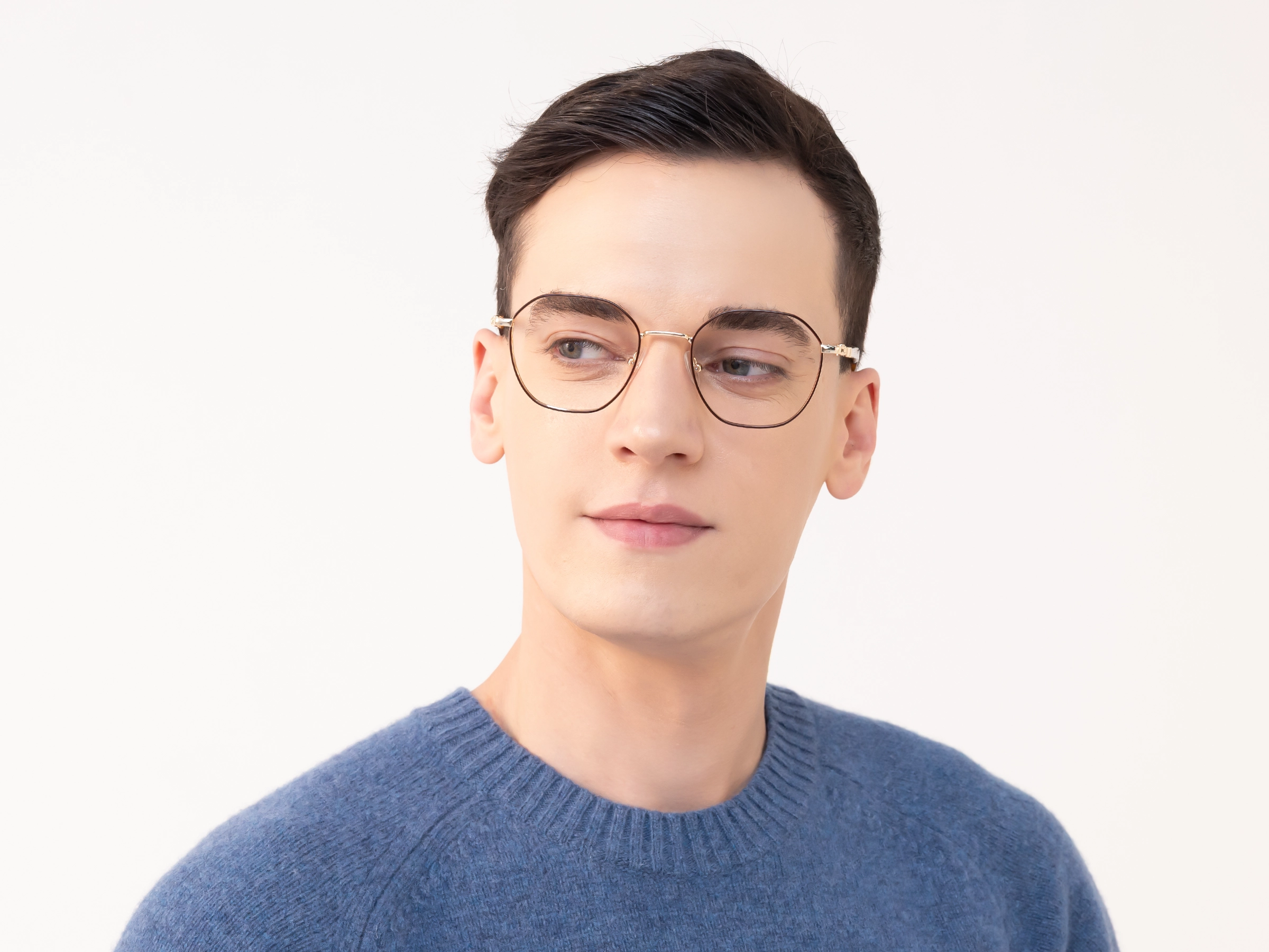 Brown & Gold Titanium Eyeglasses-