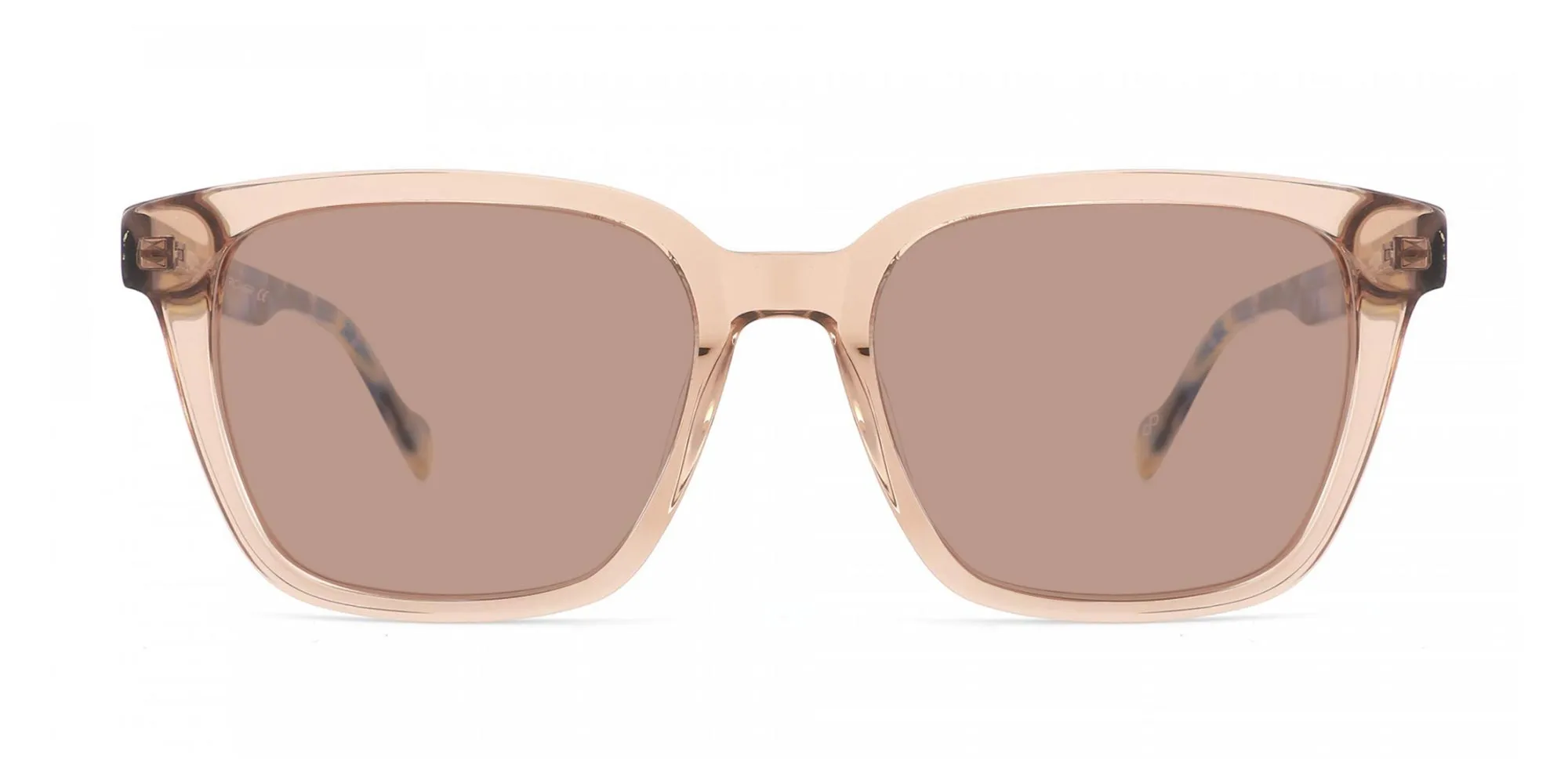 Brown Acetate Sunglasses-2