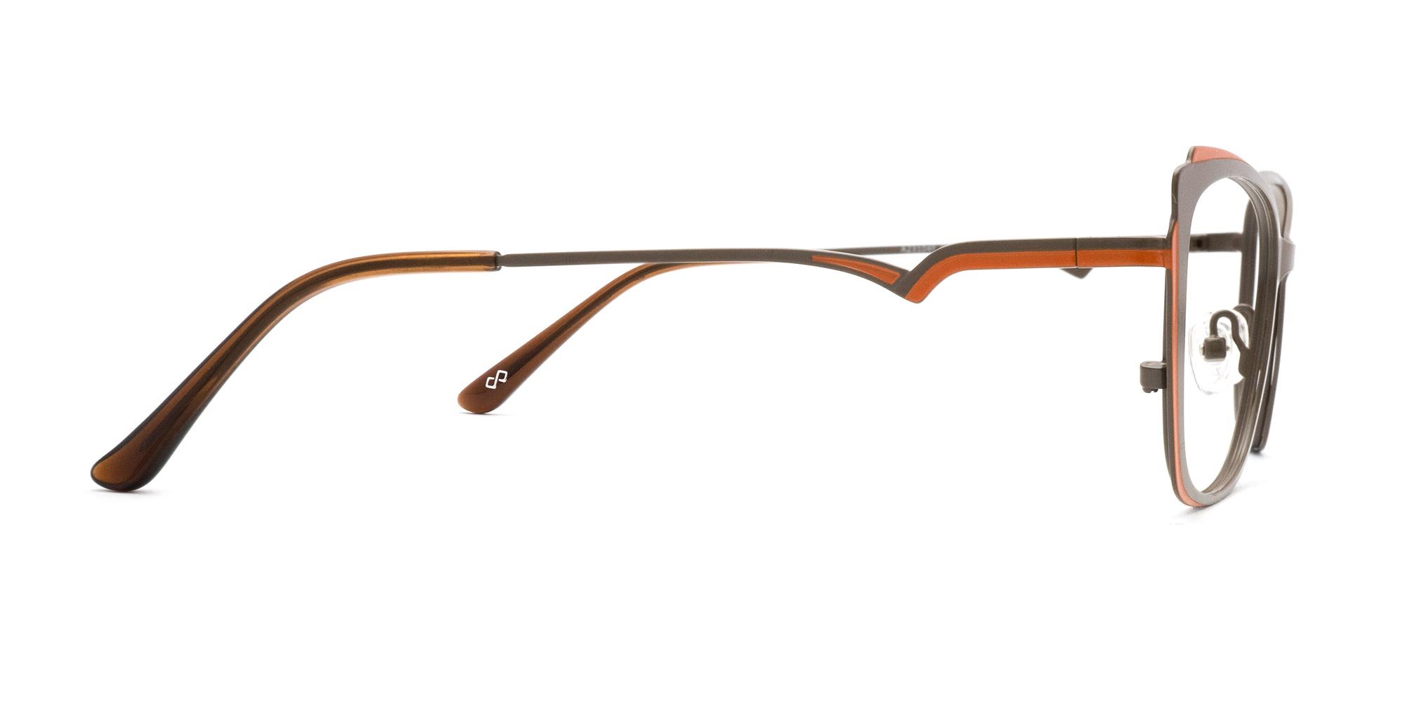 Modern Glasses For Ladies-4