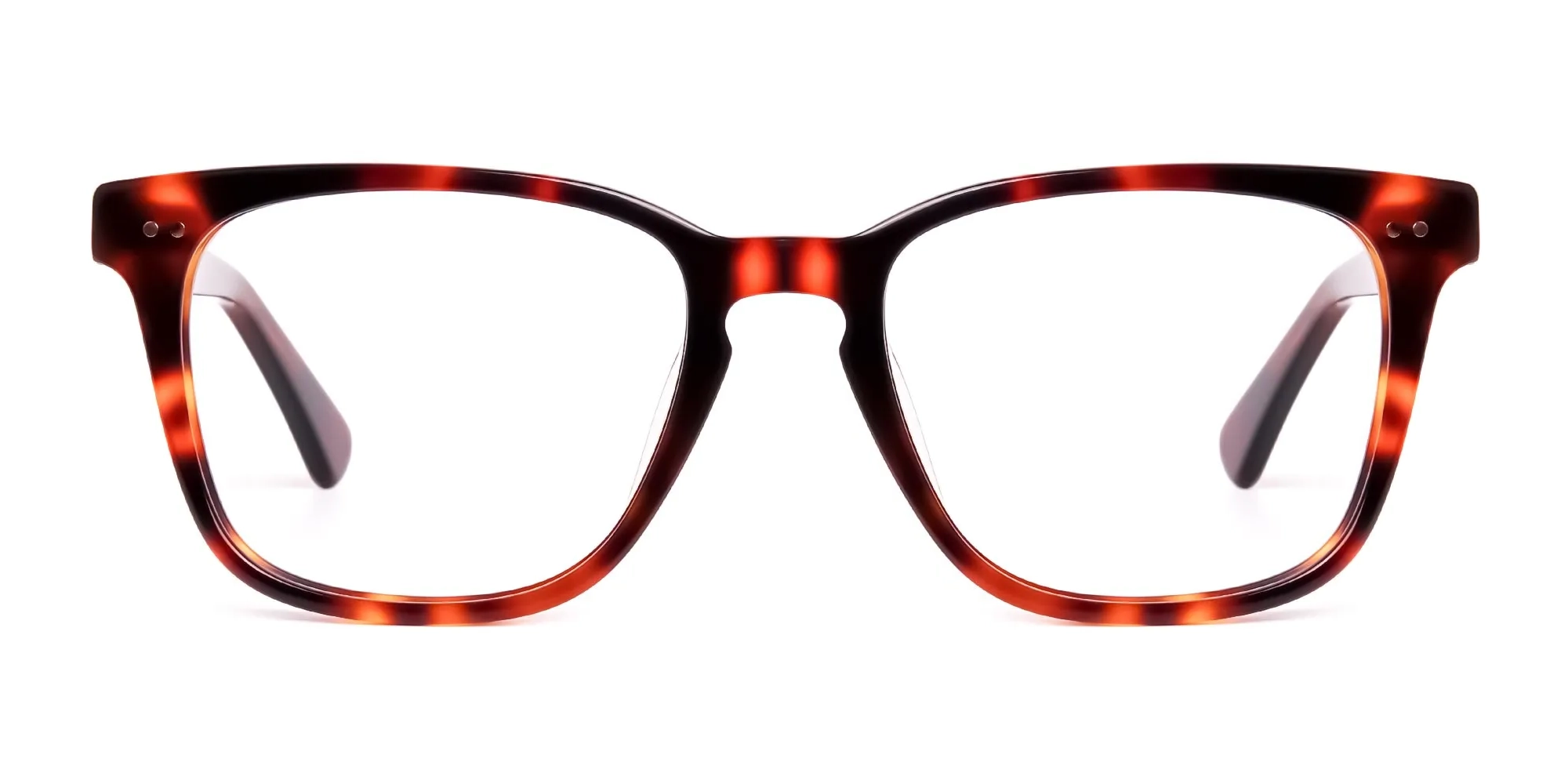 havana-and-tortoise-Shell-glasses-frames-2 havana-and-tortoise-Shell-glasses-frames-2