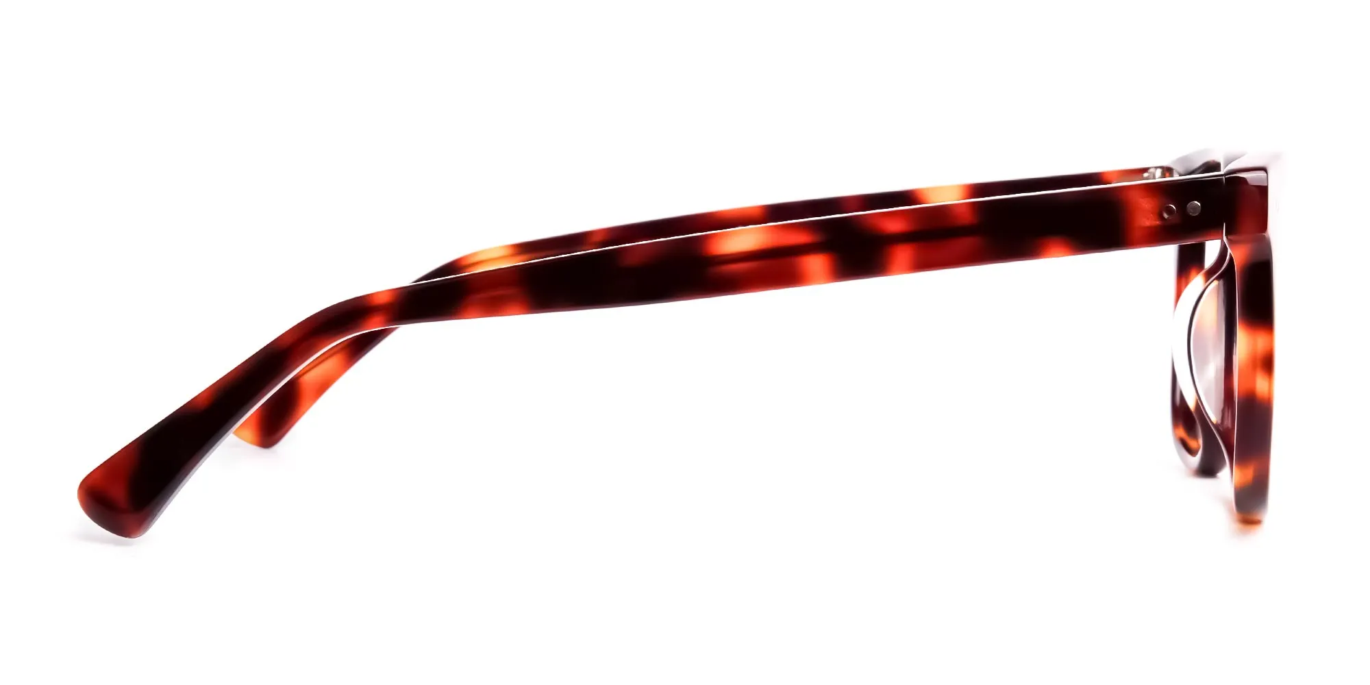 havana-and-tortoise-Shell-glasses-frames-2