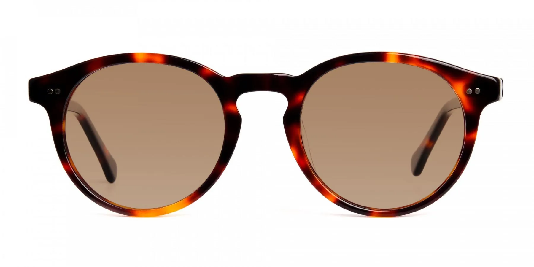 brown tortoiseshell sunglasses-2 brown tortoiseshell sunglasses-2
