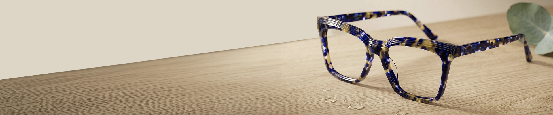 Reading Glasses